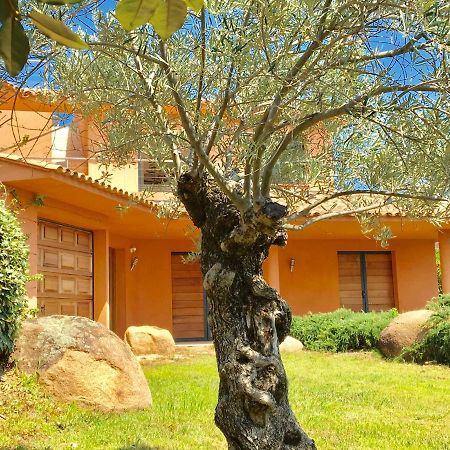 Villa Santa Giulia, Vue Panoramique Sur La Mer, 900 M De La Plage Porto-Vecchio  Eksteriør billede