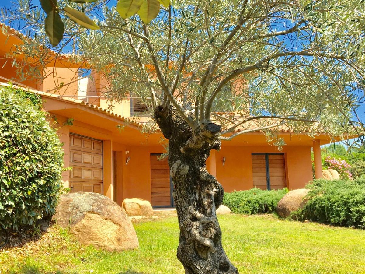 Villa Santa Giulia, Vue Panoramique Sur La Mer, 900 M De La Plage Porto-Vecchio  Eksteriør billede